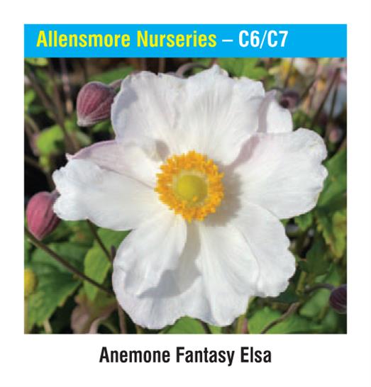Allensmore Nurseries